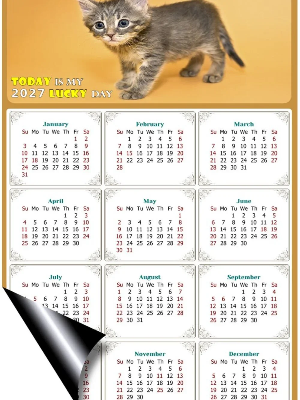 2027 Magnetic Calendar - Today is my Lucky Day - Cat Themed 018 (7 x 10.5)
